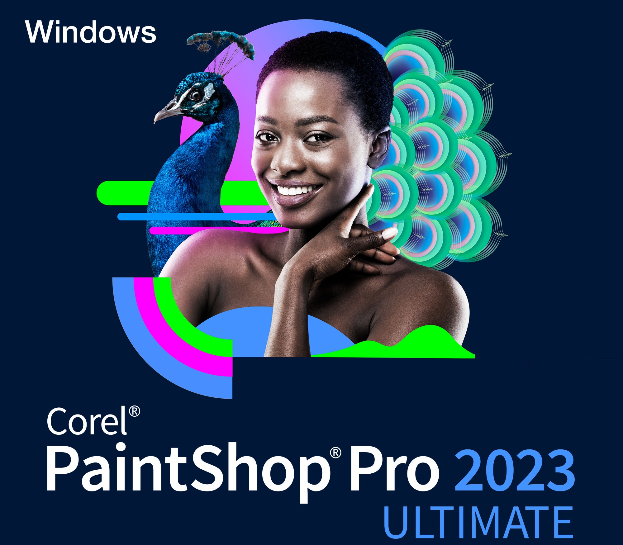 KGN 202659 1