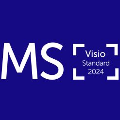 Key kích hoạt MS Visio Standard 2024 CD Key